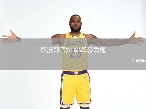 斯波耶普拉哈VS赫魯梅